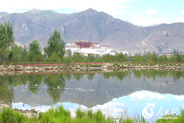 雄偉的布達(dá)拉宮與綠意蔥蘢的南山隔河相望。人民網(wǎng)記者 劉凡攝