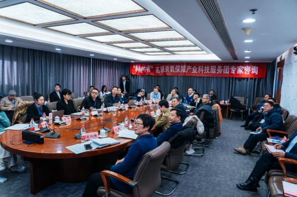 專(zhuān)家把脈西藏氧產(chǎn)業(yè):高原旅游亟需突破“氧瓶頸”