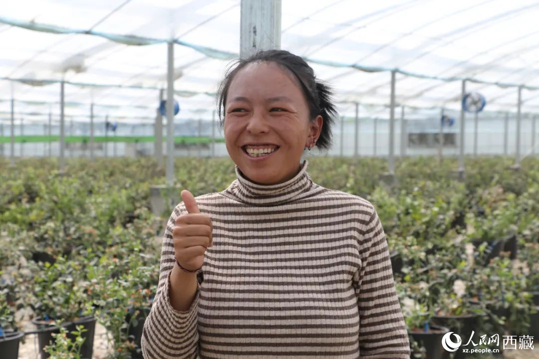 措姆品嘗自己精心照料的藍莓后，豎起了大拇指。次仁龍布攝