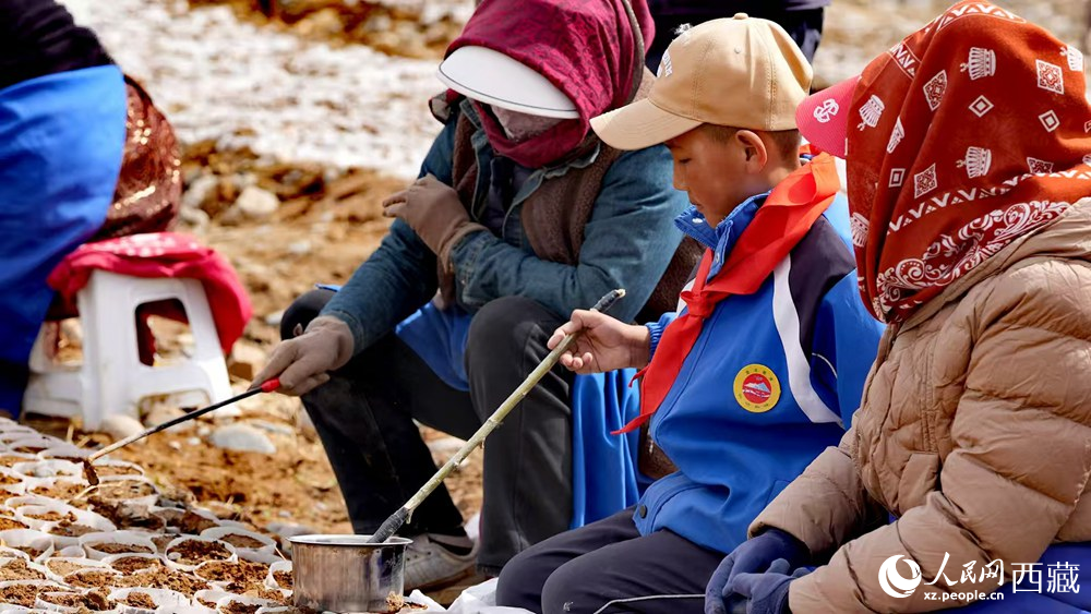 西藏定日:思政課“搬”進育苗基地