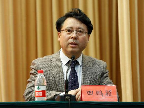 田鵬穎：投入其中、樂在其中、安身其中