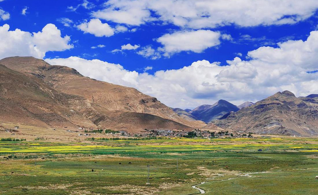 羌塘草原上的美好圖景。人民網(wǎng) 李海霞攝